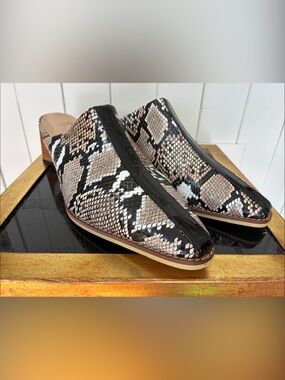 Snake Print Pointed Toe Mules from Snake Store
